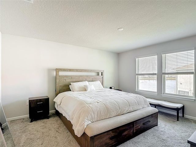 19219 BLUE POND DRIVE, Lutz, FL 33558