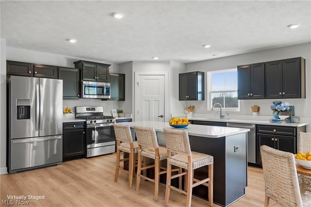 3786 Padre Pio Lane, Perry, OH 44081