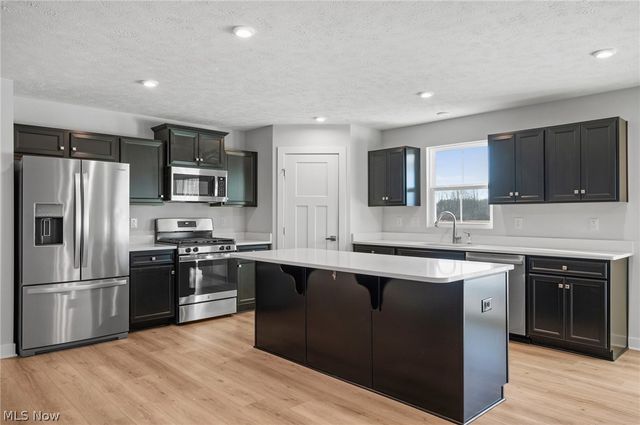 3786 Padre Pio Lane, Perry, OH 44081