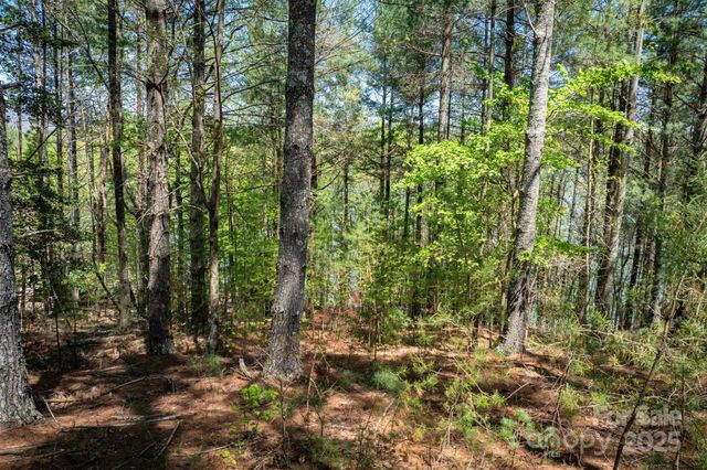 451 Hunt Camp Drive 75, Nebo, NC 28761