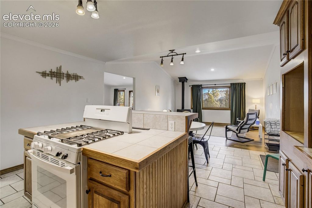 10665 S Highway 67, Cripple Creek, CO 80813 — photo 4