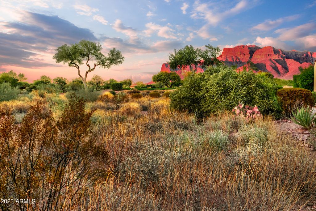 7274 E WILDERNESS Trail 15, Gold Canyon, AZ 85118 — photo 5