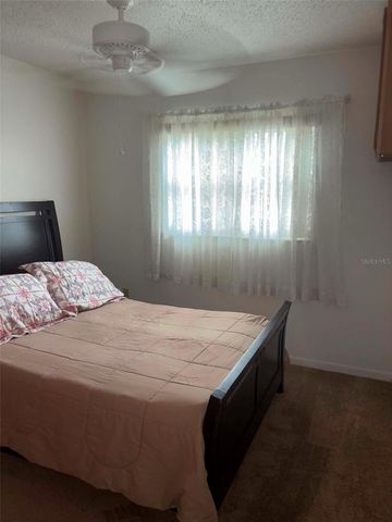 919 CR 482D, Lake Panasoffkee, FL 33538