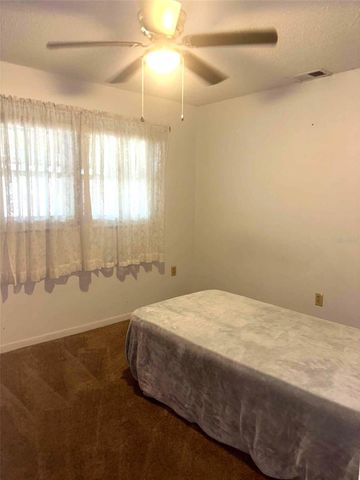 919 CR 482D, Lake Panasoffkee, FL 33538