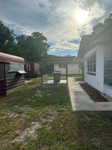 919 CR 482D, Lake Panasoffkee, FL 33538