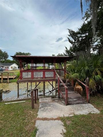 919 CR 482D, Lake Panasoffkee, FL 33538