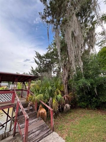 919 CR 482D, Lake Panasoffkee, FL 33538