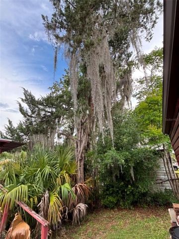 919 CR 482D, Lake Panasoffkee, FL 33538