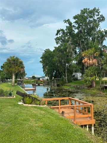 919 CR 482D, Lake Panasoffkee, FL 33538