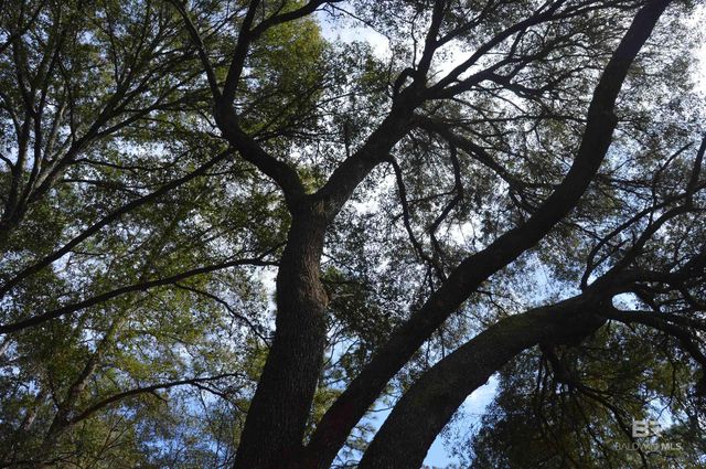 14842 County Road 9, Summerdale, AL 36580