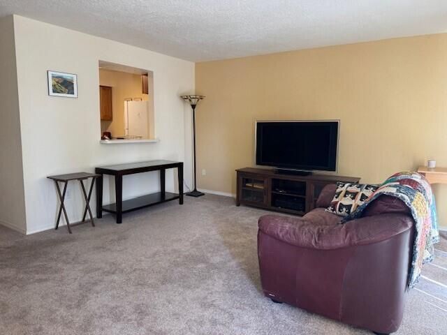 1000 Mineral Way UNIT 2, Socorro, NM 87801