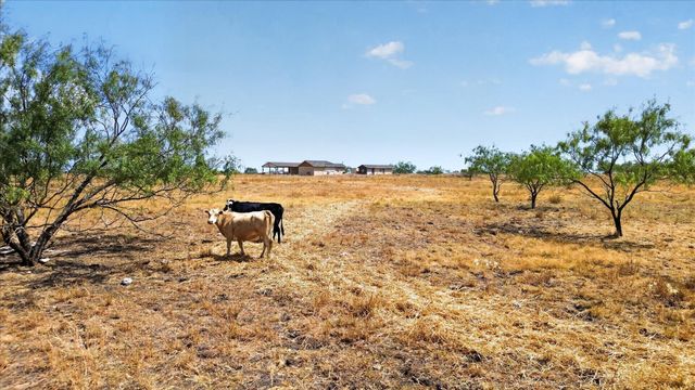 TBD NW Co RD 1160 Road, Corsicana, TX 75110