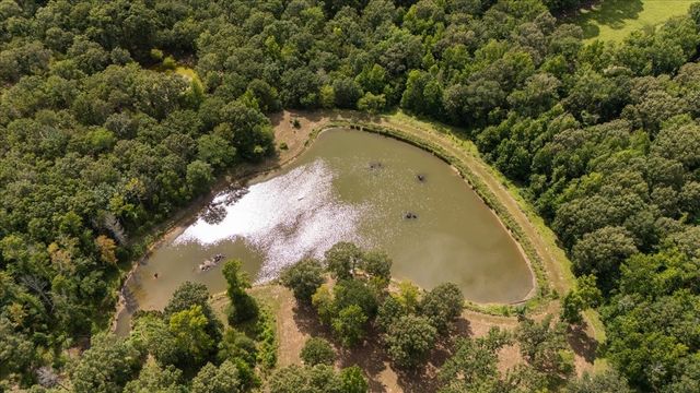 1522 Fm 17, Grand Saline, TX 75140