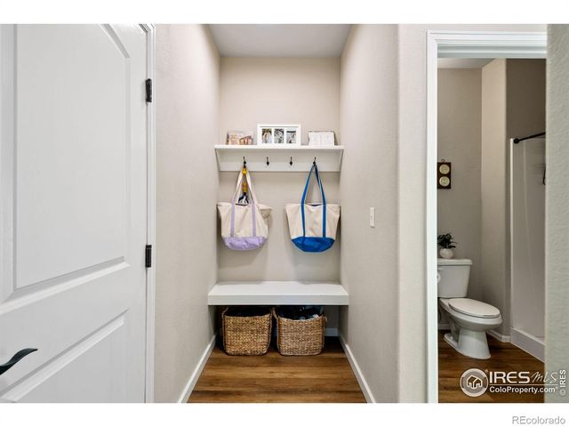 2076 Peach Blossom Drive, Windsor, CO 80550