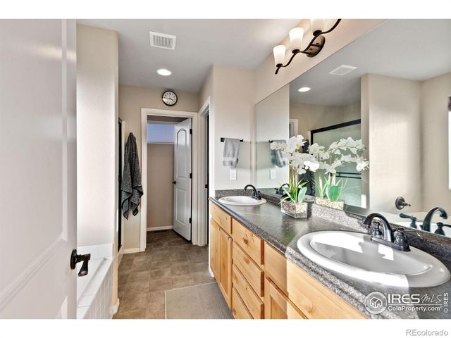 2076 Peach Blossom Drive, Windsor, CO 80550