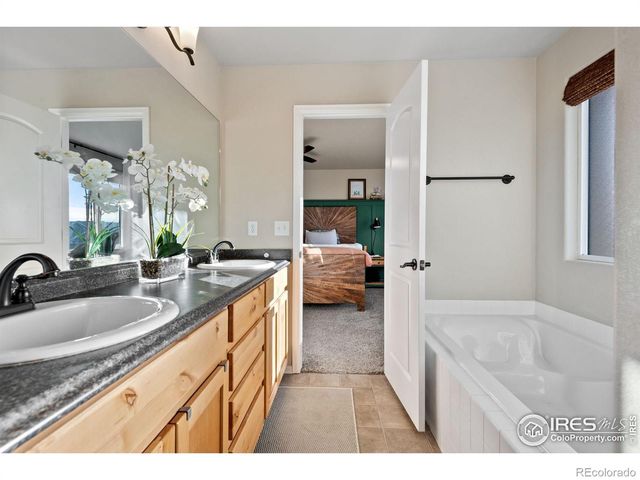 2076 Peach Blossom Drive, Windsor, CO 80550