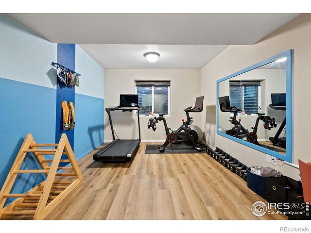 2076 Peach Blossom Drive, Windsor, CO 80550