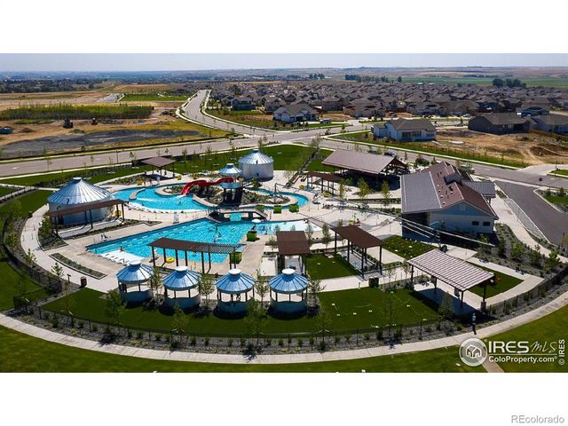 2076 Peach Blossom Drive, Windsor, CO 80550