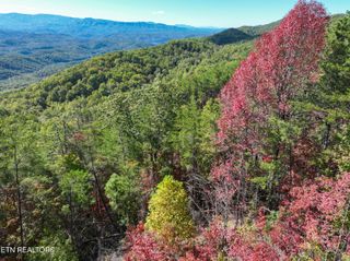 Lot #32 Chilhowee Tr, Maryville, TN 37803