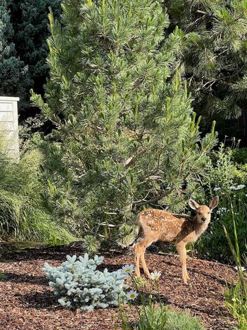 608 S Birch Street, Sisters, OR 97759