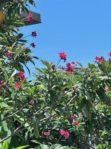 2119 LULLABY DRIVE, Holiday, FL 34691