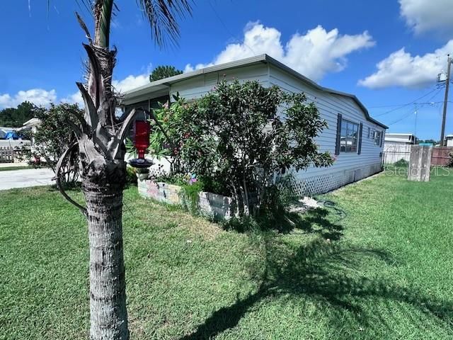 2119 LULLABY DRIVE, Holiday, FL 34691