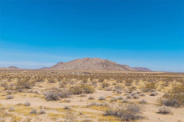 0 Bodick Road, Landers, CA 92285
