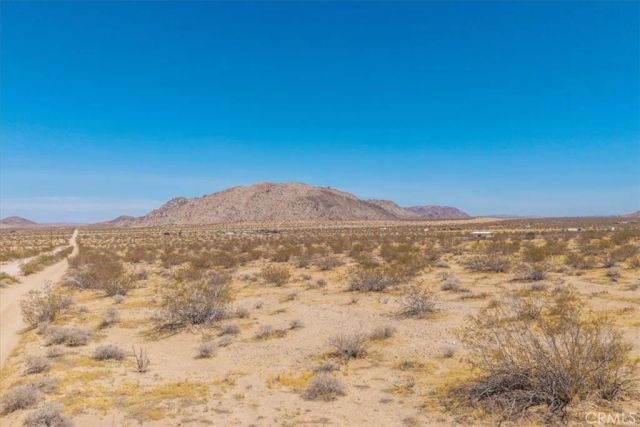 0 Bodick Road, Landers, CA 92285