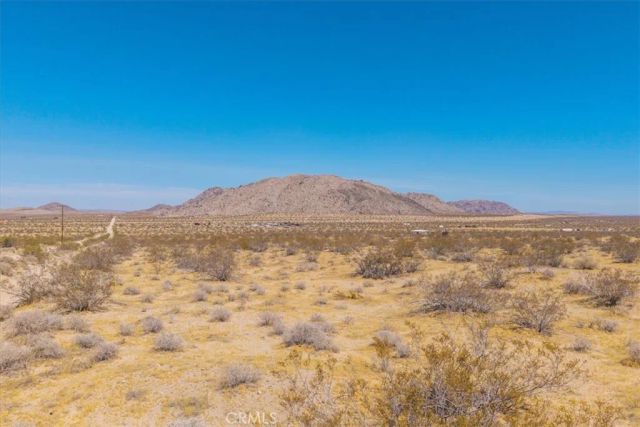 0 Bodick Road, Landers, CA 92285