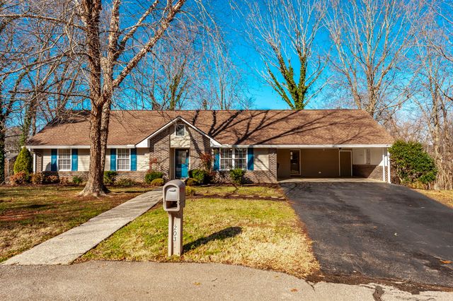 203 Mosley Dr, Springfield, TN 37172