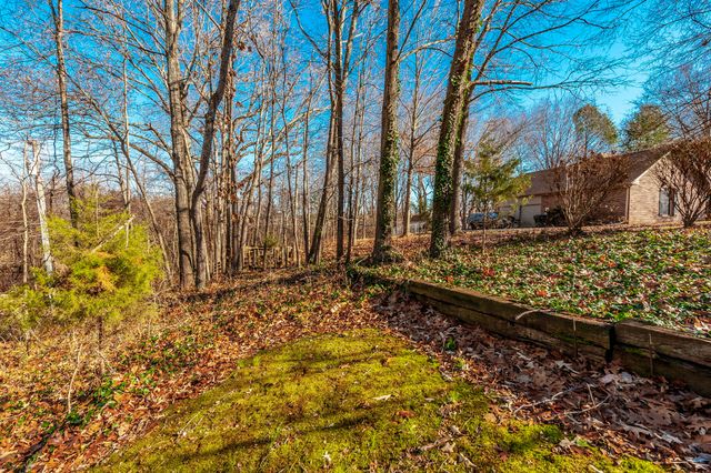 203 Mosley Dr, Springfield, TN 37172