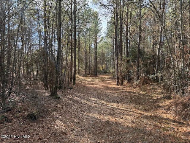 3572 Nc 42, Tarboro, NC 27886