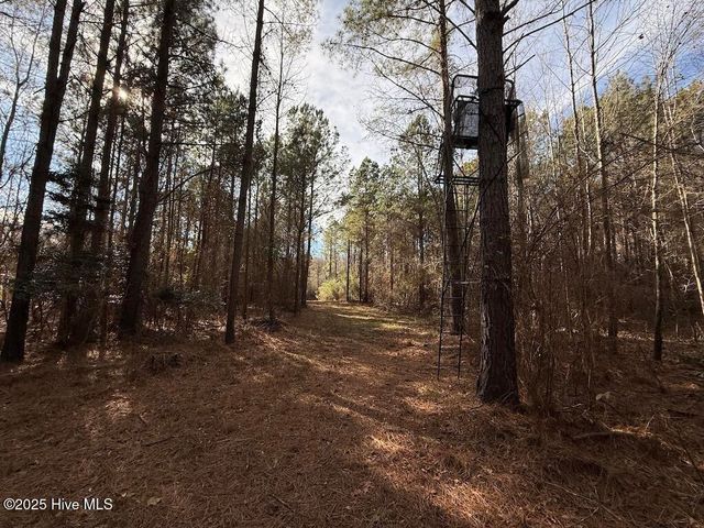 3572 Nc 42, Tarboro, NC 27886