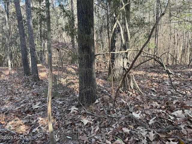 3572 Nc 42, Tarboro, NC 27886