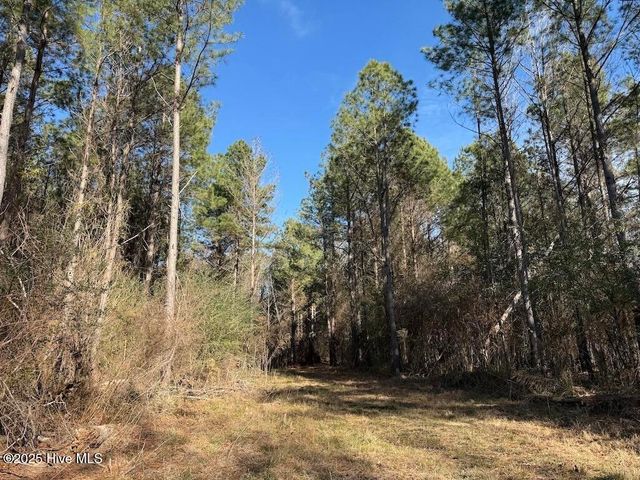 3572 Nc 42, Tarboro, NC 27886