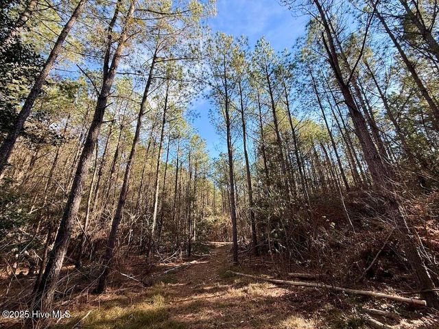 3572 Nc 42, Tarboro, NC 27886