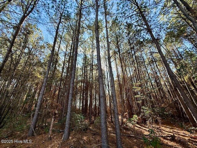 3572 Nc 42, Tarboro, NC 27886