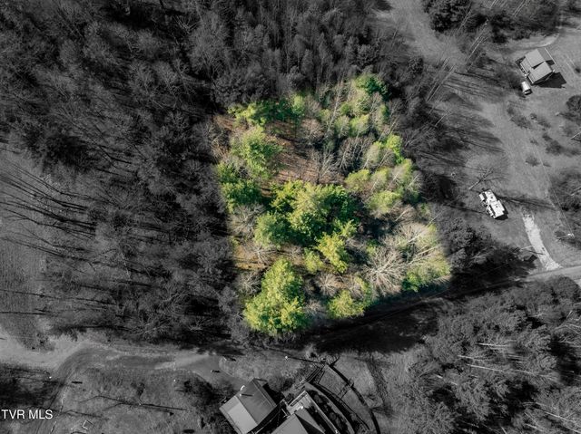 Tbd Norris Road, Butler, TN 37640