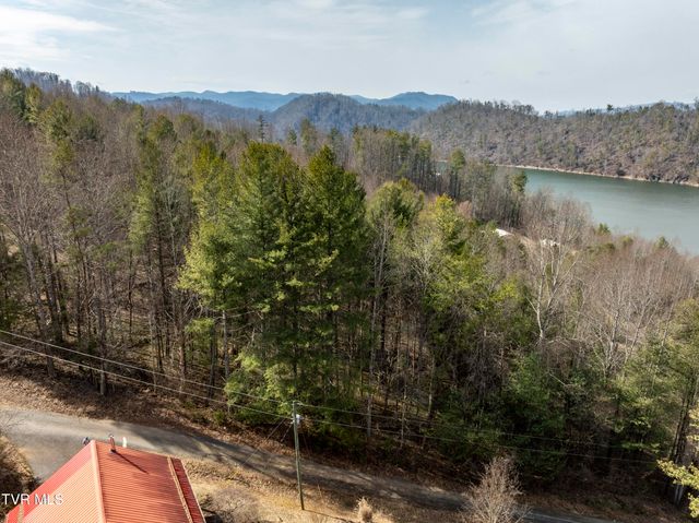 Tbd Norris Road, Butler, TN 37640