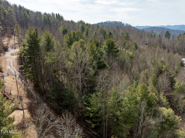 Tbd Norris Road, Butler, TN 37640