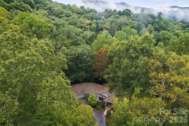 9 Laurel Forest Drive, Horse Shoe, NC 28742