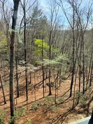 361 Bluebird Lane, Blue Ridge, GA 30513