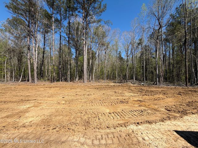 325 Stronghold Drive, Brandon, MS 39042