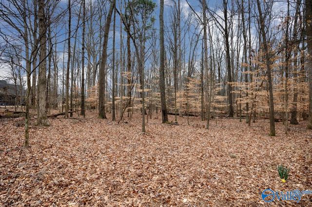 118 Conservancy Drive, Madison, AL 35758