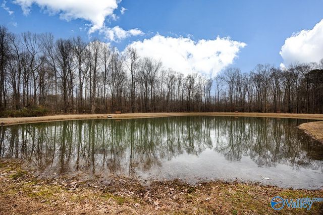 118 Conservancy Drive, Madison, AL 35758