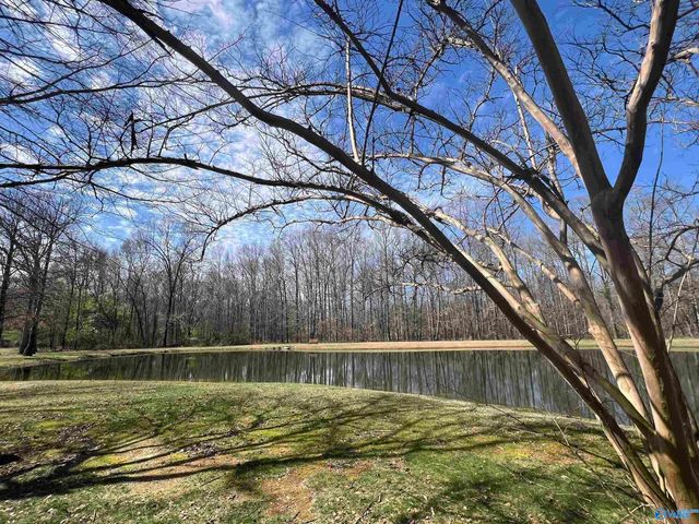 118 Conservancy Drive, Madison, AL 35758