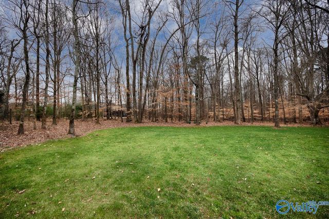 118 Conservancy Drive, Madison, AL 35758