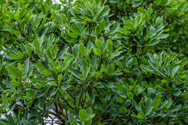 200 Countless Views Dr, Kerrville, TX 78028