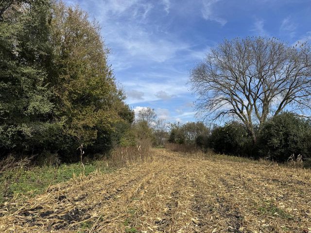 Lt9 LEO LANE, Big Bend, WI 53103