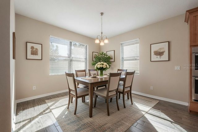 19326 LONG LAKE RANCH BOULEVARD, Lutz, FL 33558